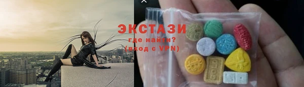 ECSTASY Богданович